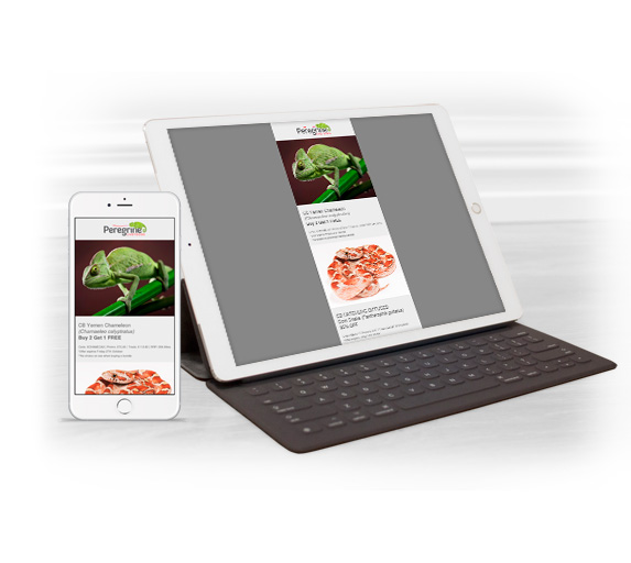 Peregrine Livefoods Featured Livestock Email