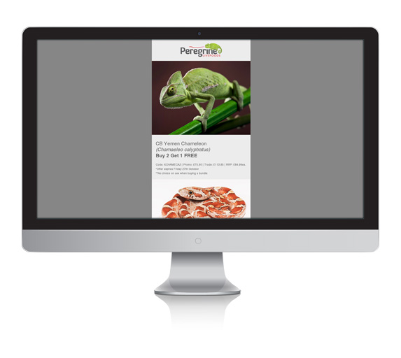 Peregrine Livefoods Featured Livestock Email