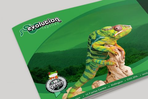 Evolution reptiles booklet
