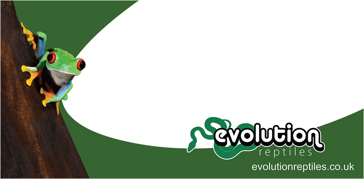 Evolution Reptiles Shopfront Main Window