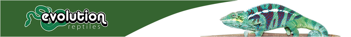 Evolution Reptiles Shopfront Top Banner