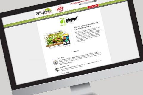 Landing Page Design