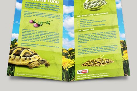 Leaflet Design