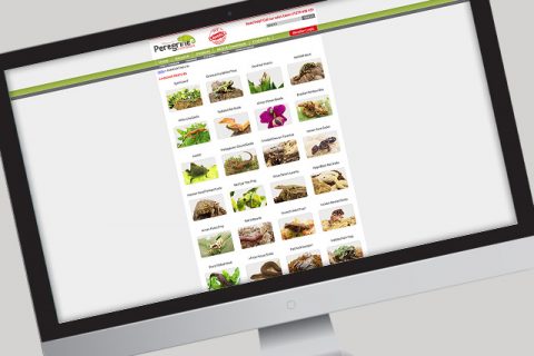 Livestock Features