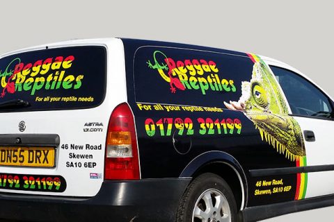 Reggae Reptiles Van