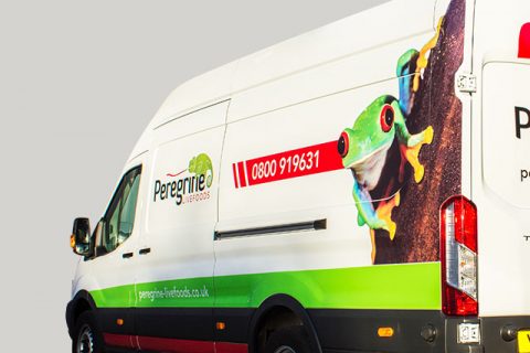 Vehicle Graphics