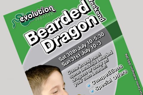 Evolution Reptile Bearded Dragon Weekend Poster