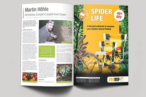 Peregrine Reptile News Magazine 4