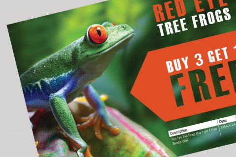 Red Eye Tree Frogs Magazine Advert