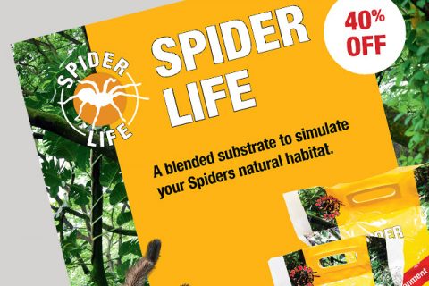 ProRep Spider Life Magazine Advert